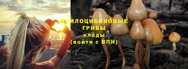 гашик Верея