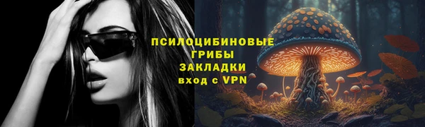 гашик Верея