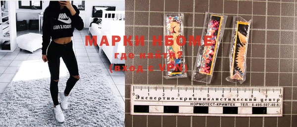 гашик Верея