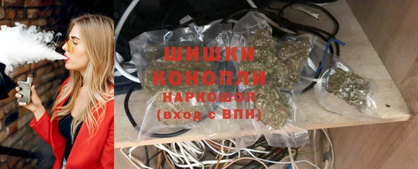 гашик Верея