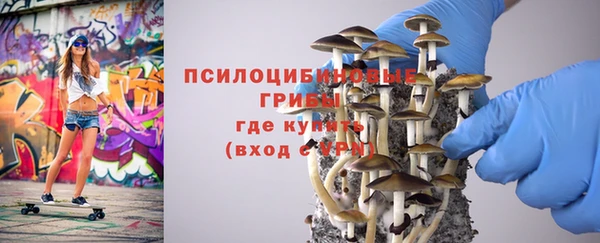 наркотики Бородино