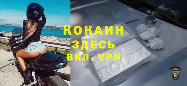 гашик Верея